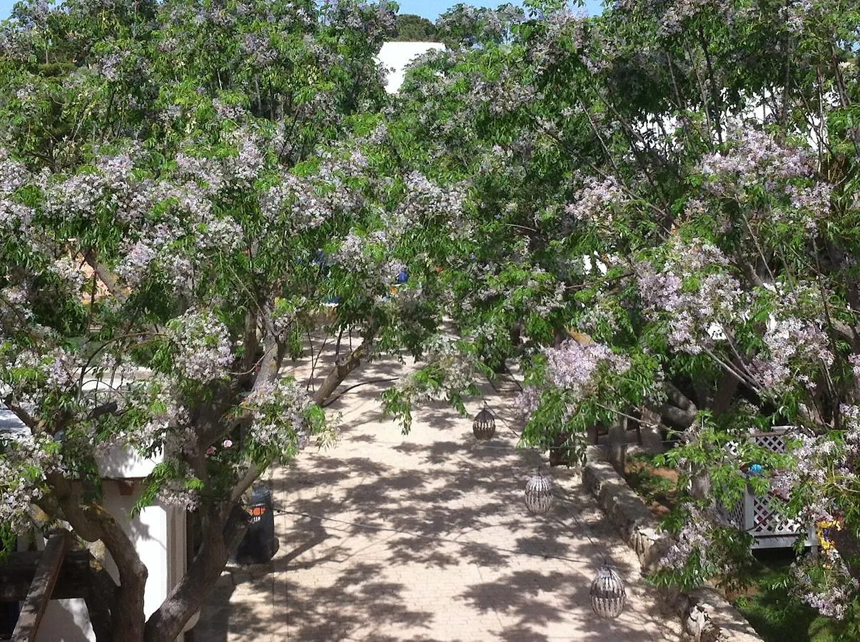 Paraiso Perdido Conil De La Frontera Bed and breakfast